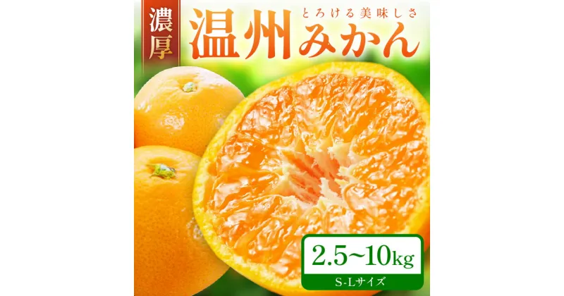 【ふるさと納税】「濃厚な味のとろける美味しさ」温州みかん 《先行予約》 10kg 5kg 2.5kg ふるさと納税 みかん ふるさと納税 みかん 予約 2024 ふるさと納税 みかん 甘い 和歌山 ミカン フルーツ 果物 くだもの 柑橘 人気 5キロ 10キロ 数量限定 期間限定 送料無料