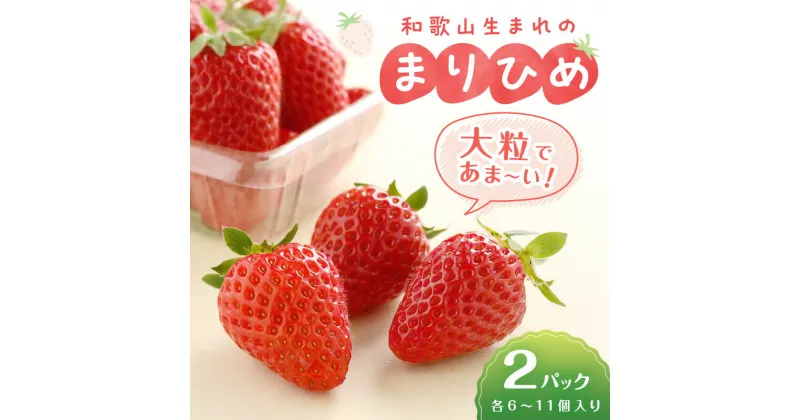 【ふるさと納税】和歌山生まれのイチゴ（まりひめ）《先行予約》大粒2パック いちご 苺 果物 フルーツ 大粒 まりひめ 期間限定 先行予約 数量限定