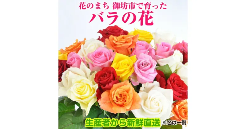 【ふるさと納税】バラの花 約20本 花のまち御坊産の薔薇 生産者から新鮮直送【配送不可地域】北海道・青森・秋田・岩手・沖縄