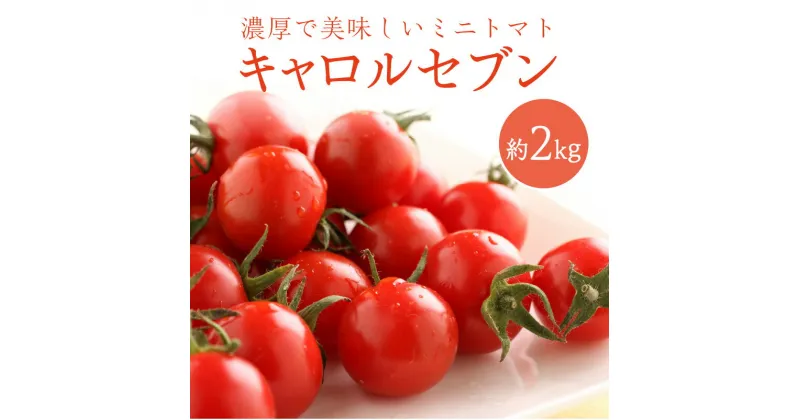 【ふるさと納税】ミニトマト キャロルセブン 2kg【和歌山産】《先行予約》 ミニトマト トマト 野菜 2キロ ふるさと納税 ミニトマト