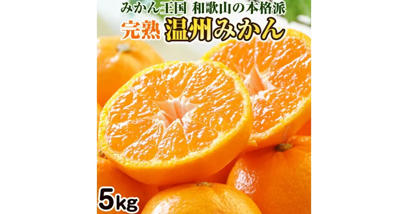 【ふるさと納税】完熟温州みかん 5kg 和歌山のみかん職人が作るこだわりミカン（配送不可地域）沖縄・離島