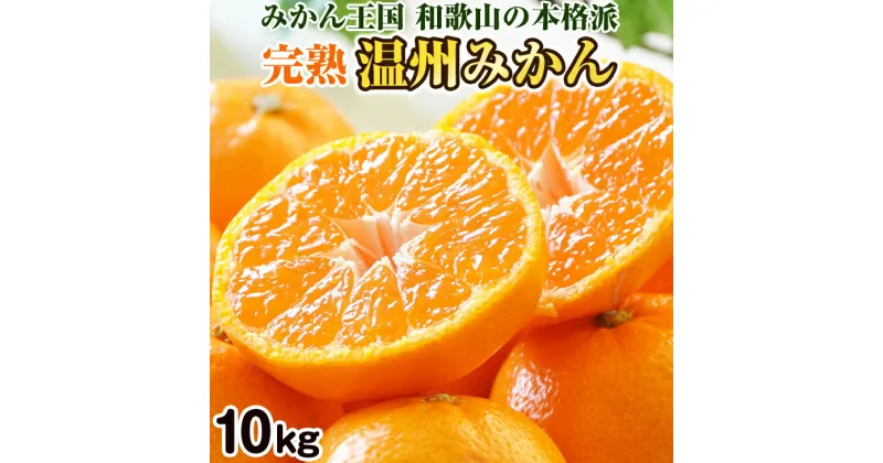 【ふるさと納税】完熟温州みかん 10kg 和歌山のみかん職人が作るこだわりミカン【配送不可地域】沖縄・離島