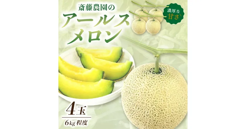 【ふるさと納税】斎藤農園のアールスメロン(マスクメロン)4玉 6kg程度≪先行予約2025年6月下旬以降発送分≫【配送不可地域：北海道・青森・秋田・岩手・沖縄・離島】高級　極上 果物 フルーツ 産地直送 プレゼント 和歌山県産 御坊産 送料無料