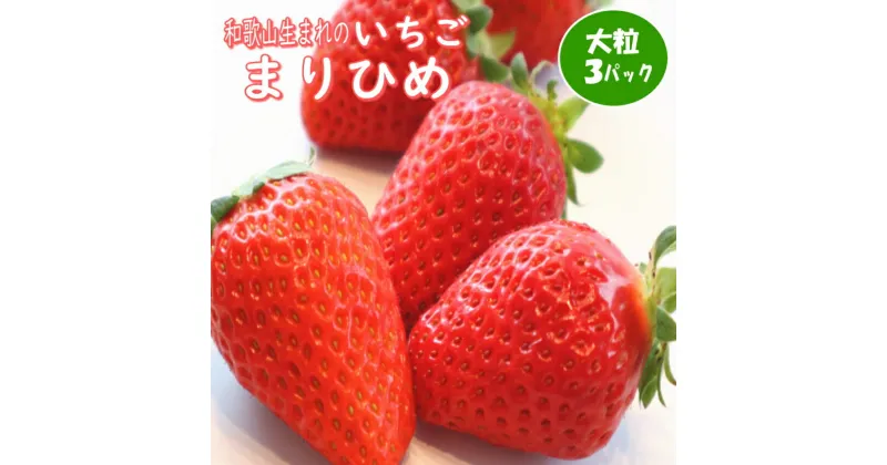 【ふるさと納税】和歌山生まれのイチゴ【まりひめ】大粒3パック《先行予約》 いちご 苺 イチゴ 大きい フルーツ くだもの 果物 送料無料 ふるさと納税 いちご