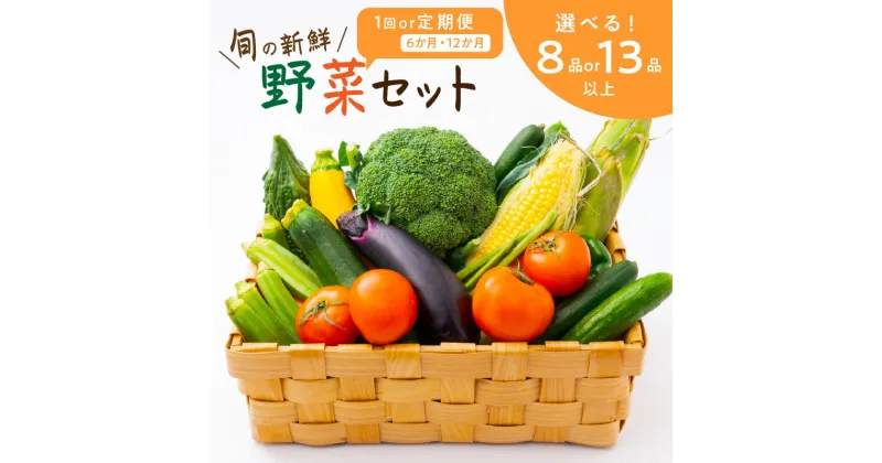 【ふるさと納税】定期便 旬の新鮮野菜セット 8種以上 13種以上 1回 6回 12回 ふるさと納税 野菜 ふるさと納税 定期便 野菜 詰め合わせセット 旬の野菜 セット 定期 送料無料