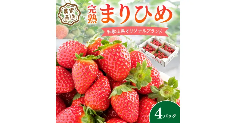 【ふるさと納税】《全国いちご選手権2022年第2位・2023年第3位！》農家直送 完熟まりひめ（和歌山県オリジナルブランド いちご）4パック《先行予約》【配送不可地域：北海道・沖縄・離島】ふるさと納税 いちご 甘い 苺 ふるさと納税 イチゴ 予約 2024～2025 フルーツ 果物