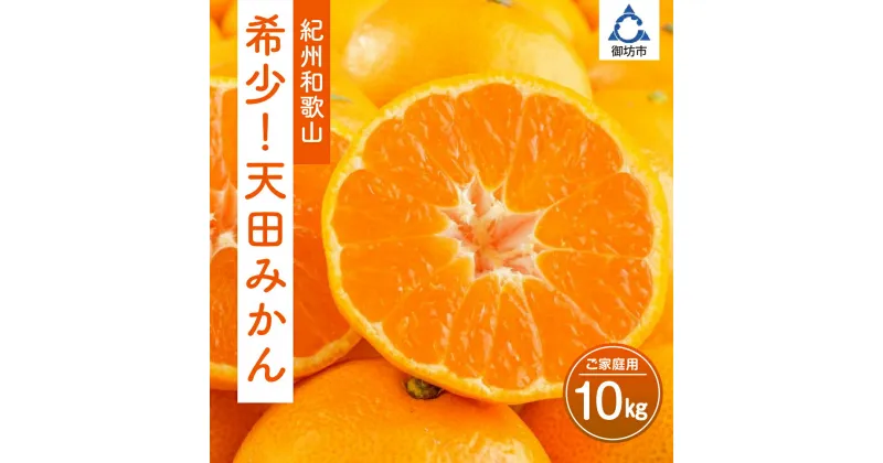 【ふるさと納税】希少！天田みかん（紀州和歌山）ご家庭用10kg《先行予約》 ふるさと納税 みかん 10kg 10キロ フルーツ くだもの 果物 送料無料 数量限定 期間限定