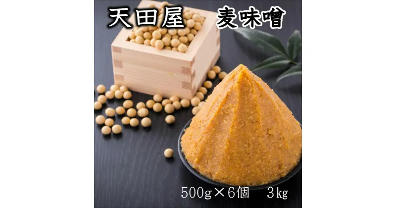 【ふるさと納税】天田屋　麦味噌（500g×6個＝3.0kg）