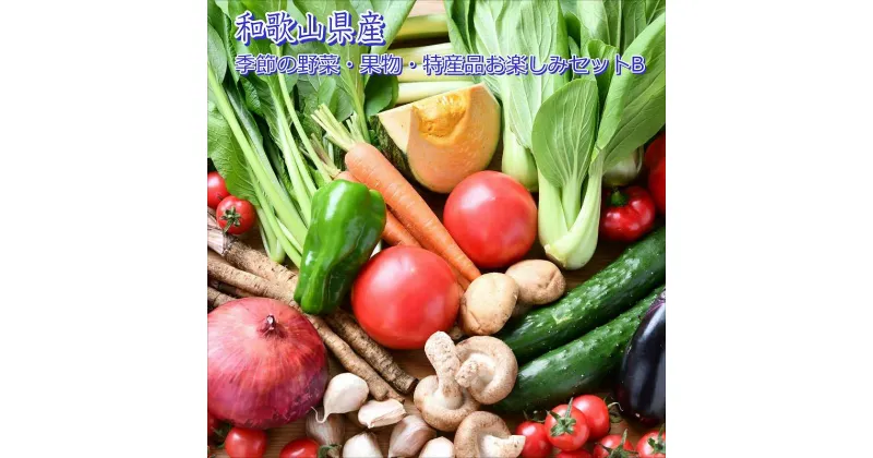 【ふるさと納税】季節の野菜・果物・特産品お楽しみ詰め合わせセットB