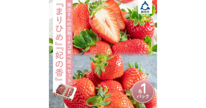 【ふるさと納税】農園直送！完熟イチゴ食べ比べセット「まりひめ」「紀の香」【配送不可地域：北海道・沖縄・離島】 いちご 苺 イチゴ フルーツ くだもの 果物 旬 パック 送料無料 数量限定 ふるさと納税 いちご