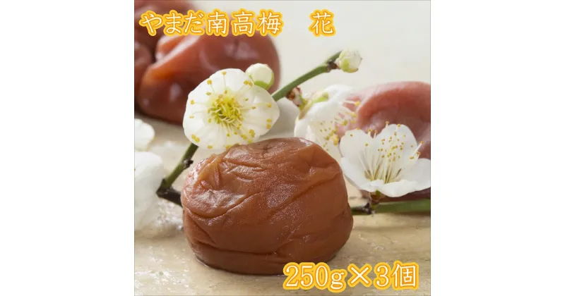 【ふるさと納税】やまだ南高梅 花（250g×3個）