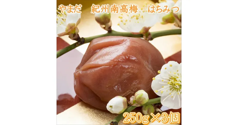 【ふるさと納税】やまだ 南高梅はちみつ梅(250g×3個)