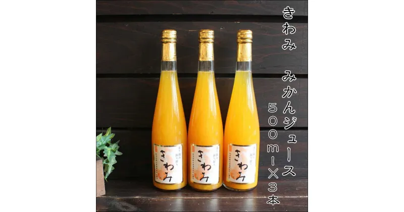 【ふるさと納税】きわみ100％ストレートみかんジュース500ml×3本