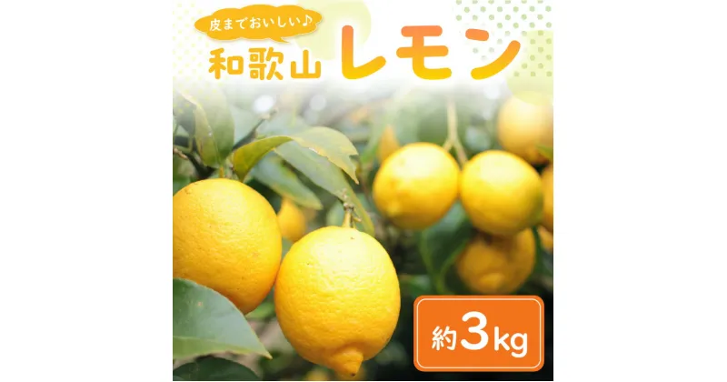 【ふるさと納税】皮まで食べられる　和歌山産レモン【約3kg】 レモン 檸檬 柑橘 フルーツ 果物 くだもの 国産 和歌山≪先行予約2025年2月頃より順次発送予定分≫