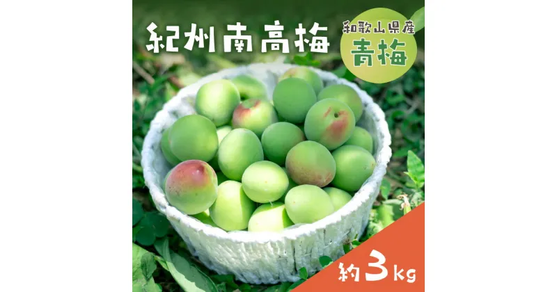 【ふるさと納税】和歌山県産　紀州南高梅　青梅【約3kg】≪先行予約2025年6月初旬頃より順次発送予定分≫