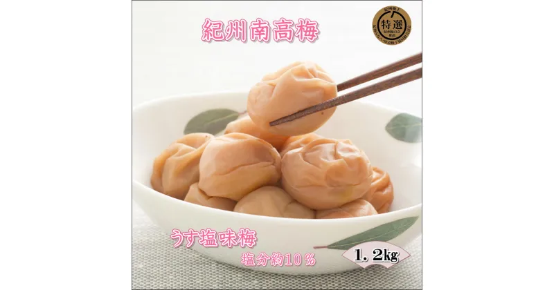 【ふるさと納税】【家庭用】紀州南高梅　うす塩味梅　1.2kg