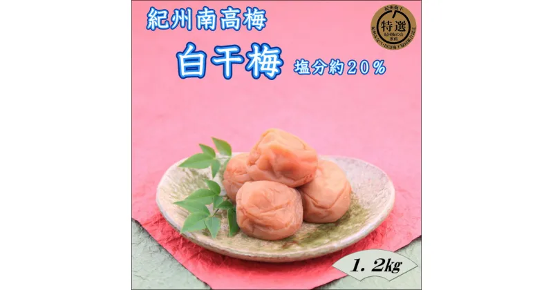 【ふるさと納税】【家庭用】紀州南高梅　白干梅　1.2kg