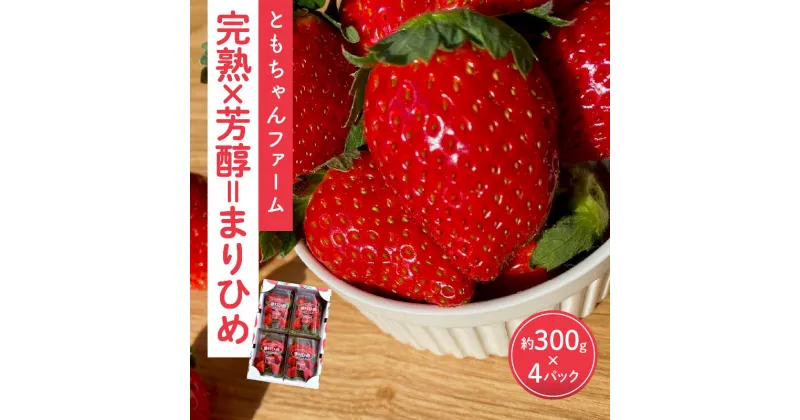 【ふるさと納税】「完熟×芳醇=まりひめ」4パック【配送不可地域：北海道・沖縄・離島】《先行予約》 いちご 苺 イチゴ フルーツ くだもの 果物 旬 パック 送料無料 数量限定 ふるさと納税