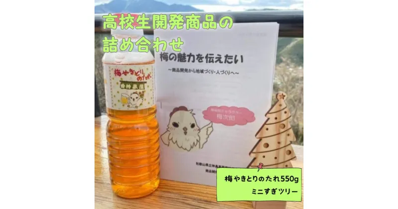 【ふるさと納税】地域の魅力を伝えたい〜高校生開発商品の詰め合わせ〜《木製コースタ—ほか梅関連製品》 / 田辺市 神島高校 神島屋 神島 コースター 木製コースター 梅製品