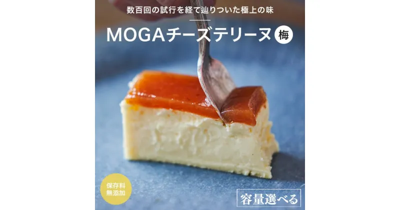 【ふるさと納税】MOGAチーズテリーヌ（梅）【選べる本数】1本 2本 / 田辺市 チーズテリーヌ 梅チーズテリーヌ チーズケーキ お菓子 スイーツ ギフト プレゼント