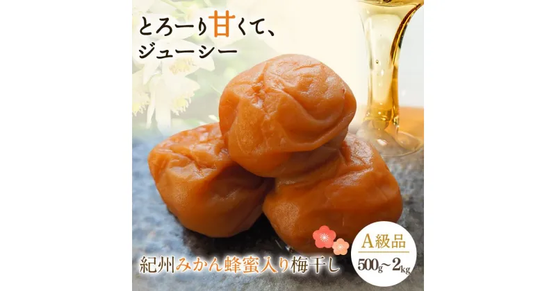 【ふるさと納税】 紀州みかん蜂蜜入り梅干（塩分約5％）【選べる容量】500g～2kg / 田辺市 紀州南高梅 南高梅 梅干し 梅干 梅 うめ 肉厚 お米 おにぎり 焼酎 梅酒 健康