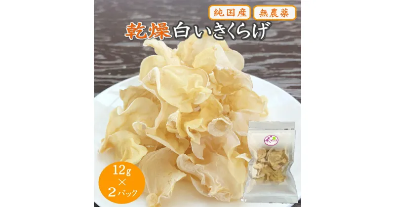 【ふるさと納税】乾燥白いきくらげ 12g×2パック / 田辺市 きくらげ 乾燥 天然 無添加 栄養豊富 中華料理 サラダ