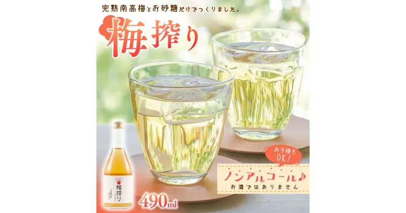 【ふるさと納税】梅搾り（ノンアルコール）490ml / 和歌山 田辺市 梅干し 梅干 梅 うめ 梅ジュース 炭酸割り 紀州産 南高梅 完熟梅