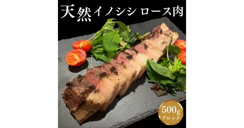 【ふるさと納税】肉塊「紀州イノシシ　ロース肉」ブロック500g / 田辺市 猪肉 イノシシ肉 イノシシ ボタン ロース 塊 肉 ブロック 紀州ジビエ ジビエ