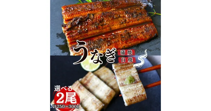 【ふるさと納税】うなぎ 蒲焼き 白焼き 選べる2本セット / 和歌山 田辺 うなぎ 鰻 かば焼き うな丼 うな重 国産 鰻丼