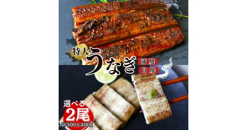 【ふるさと納税】 うなぎ 特大うなぎ蒲焼き うなぎ白焼き 選べる2本セット / 和歌山 田辺 鰻 白焼き うな丼 うな重 国産 鰻丼 かば焼き