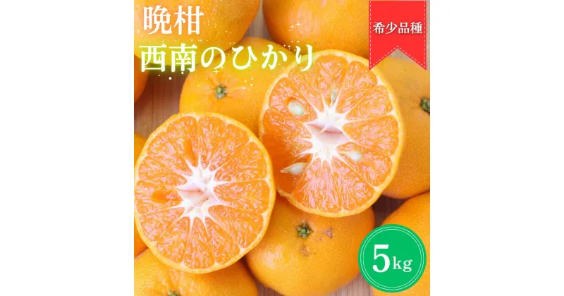 【ふるさと納税】【先行予約】晩柑 西南のひかり　5kg【12月上旬以降順次発送予定】 / 和歌山県 田辺市 みかん 晩柑みかん 柑橘