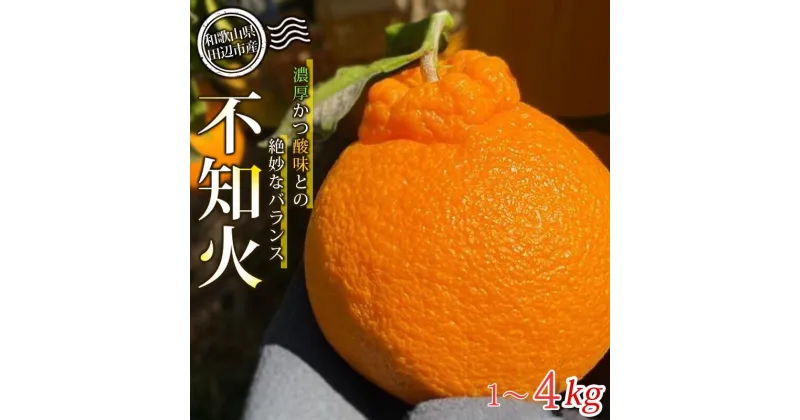 【ふるさと納税】【期間限定・2025/1/31まで】不知火 【選べる容量】 1kg 4kg ※2025年3月から順次発送予定※ / みかん 蜜柑 ミカン 和歌山県 しらぬい デコポン フルーツ 果物 柑橘 田辺市