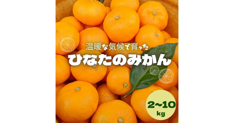 【ふるさと納税】【先行予約】ひなたのみかん 【選べる容量】2kg 3kg 5kg 10kg ※2024年12月頃に順次発送予定【期間限定・先行予約・2024/11/30まで】 / 和歌山 田辺市 みかん 期間限定 先行予約 ミカン 紀州