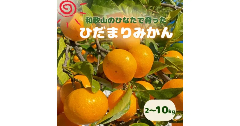 【ふるさと納税】【先行予約】日向屋 ひだまりみかん 【容量選べる】 2～10kg ※2024年12月頃に順次発送予定【期間限定・先行予約・2024/11/30まで】 / 和歌山 田辺市 みかん 期間限定 先行予約 ミカン 紀州