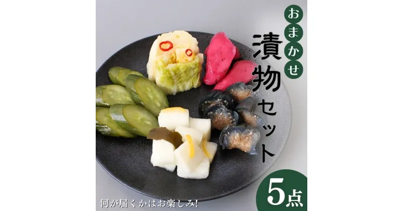 【ふるさと納税】おまかせ5点セット / 漬物 ごはんのおとも 大根 きゅうり 白菜 古漬 梅漬け キムチ 浅漬け ぬか漬け 和歌山 田辺市