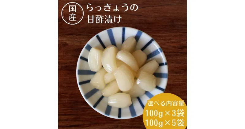 【ふるさと納税】らっきょうの甘酢漬け【選べる容量100g×3 100g×5】 / 無添加 漬物 ごはんのおとも 惣菜 和歌山 田辺市