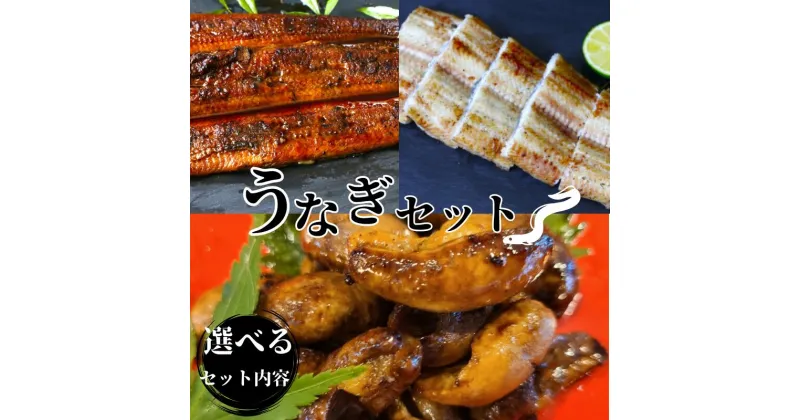 【ふるさと納税】うなぎ 肝たれ焼きのセット 蒲焼き 白焼き / 和歌山 田辺 鰻 うな丼 うな重 国産 鰻丼 かば焼き 肝たれ焼き 肝