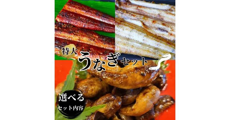 【ふるさと納税】特大うなぎ 肝たれ焼きのセット 蒲焼き 白焼き / 和歌山 田辺 うなぎ 鰻 白焼き うな丼 うな重 国産 鰻丼 かば焼き 肝たれ焼き