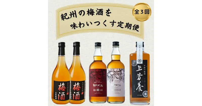 【ふるさと納税】【3カ月定期便】紀州の梅酒を味わいつくす定期便（紀州梅酒・HAMADA・上芳養） / 紀州南高梅 南高梅 梅酒 お酒 アルコール 和歌山 田辺市