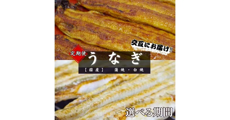 【ふるさと納税】【定期便】【交互にお届け】国産うなぎ蒲焼 国産うなぎ白焼 醤油・わさび付き 選べる配送期間 / 定期便 毎月お届け 和歌山 田辺市 国産 国産うなぎ 国産鰻 うなぎ 鰻 鰻丼 うな丼 土用の丑の日