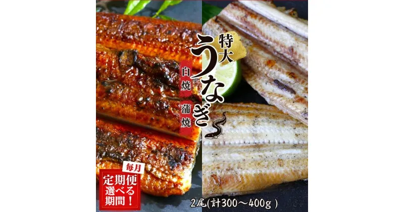 【ふるさと納税】【定期便】特大うなぎ蒲焼き、うなぎ白焼き　各1本セット 【選べる回数】 【3回 6回 12回】 / 和歌山 田辺 うなぎ 鰻 白焼き うな丼 うな重 国産 鰻丼 かば焼き