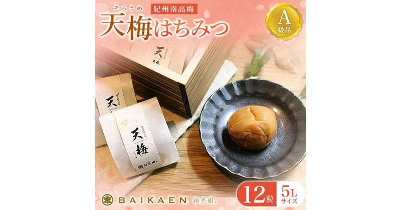 【ふるさと納税】紀州南高梅 天梅(そらうめ)はちみつ 12粒 個包装 塩分約7％ A級品 大粒5Lサイズ 木箱入り / 梅干し 梅干 うめぼし 南高梅 国産 梅 うめ ウメ はちみつ梅 健康 ご飯のお供 贈答 贈り物 和歌山県 田辺市