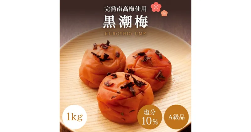 【ふるさと納税】【A級品】 紀州南高梅 黒潮梅 1kg 塩分10％ / 梅干し 梅干 うめぼし 南高梅 国産 梅 うめ ウメ 完熟 しそ 紫蘇 シソ かつお 鰹 カツオ 健康 ご飯のお供 昔ながら 贈り物 ギフト プレゼント 和歌山県 田辺市 仙宝