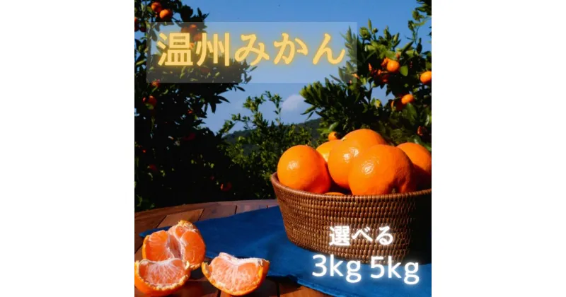 【ふるさと納税】【先行予約】温州みかん 【選べる容量3kg 5kg】 ※11月下旬以降随時発送予定 /田辺市 和歌山 みかん ミカン 柑橘 温州みかん フルーツ オレンジ