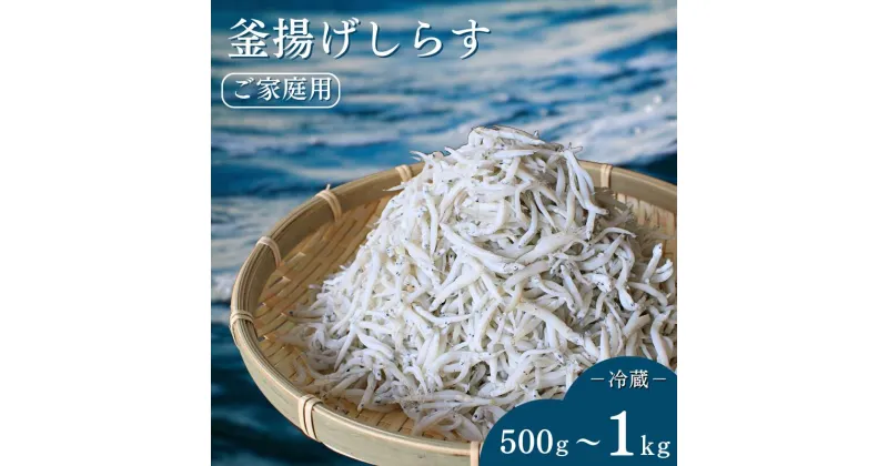 【ふるさと納税】 釜揚げしらす（ご家庭用）【500g～1kg】※北海道・沖縄・離島配送不可 / しらす シラス しらす丼 丼ぶり 家庭用 冷蔵 お取り寄せ 和歌山県 田辺市