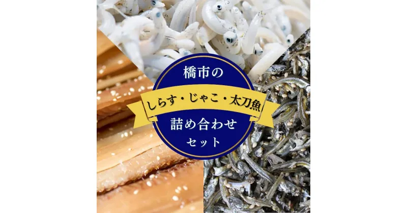 【ふるさと納税】 橋市の詰め合わせセット【選べる内容量】（しらすの釜揚げ・じゃこの佃煮・太刀魚のみりん干し）※北海道・沖縄・離島配送不可 / 干物 味醂干し おつまみ ご飯のお供 シラス 冷蔵 お取り寄せ 和歌山県 田辺市