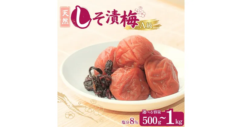 【ふるさと納税】天然しそ 漬梅【選べる容量500g～1kg】塩分8% / 田辺市 紀州南高梅 南高梅 梅干し 梅干 梅 うめ 肉厚 しそ漬梅 しそ 紫蘇