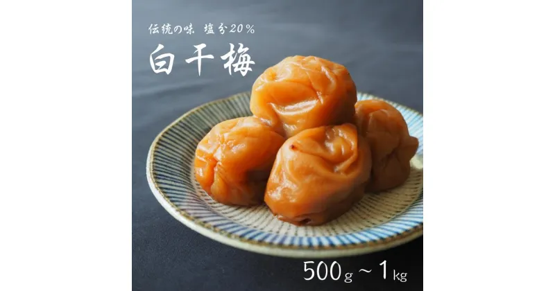 【ふるさと納税】伝統の梅 白干梅【選べる容量500g～1kg】塩分20％ / 和歌山 梅干し 田辺市 紀州南高梅 南高梅 はちみつ 梅干 梅 うめ