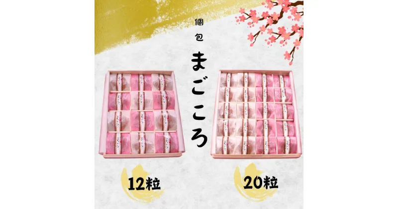 【ふるさと納税】個包「紀州里一番」まごころ【選べる容量12粒.20粒】塩分8% / 和歌山 梅干し 田辺市 紀州南高梅 南高梅 梅干 梅 うめ 贈答