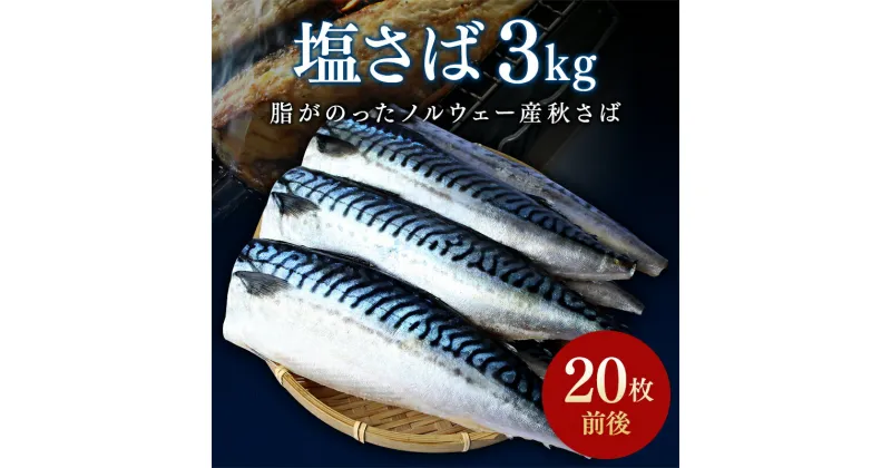 【ふるさと納税】 【寄附額改定】 鯖 ご家庭用 塩さばフィレ 3kg(約20枚前後） / さば サバ おかず 切り身 切身 焼き魚 甘塩 冷凍 お弁当 和歌山県 田辺市